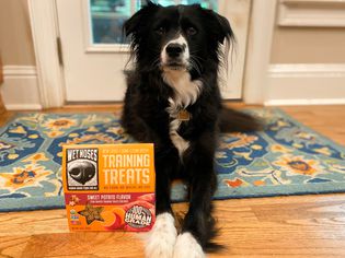 Wet Noses Little Stars Dog Treats