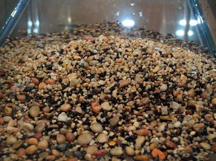 Aquarium Substrate