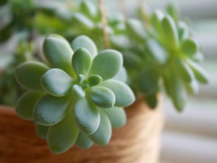 The fresh air of your home