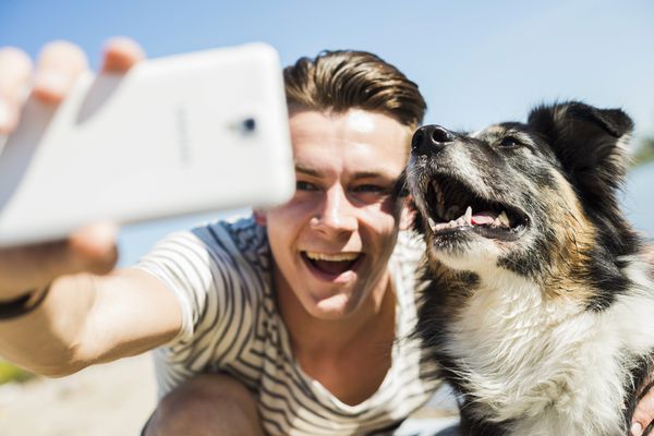 caring for your first dog, dog selfie