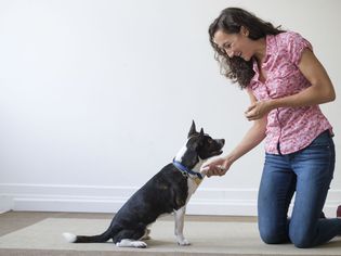 Young woman training her dog