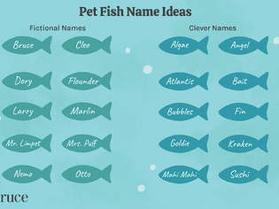 Pet Fish Name Ideas