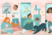 The Spruce Pets Product Review Editorial Guidelines & Mission
