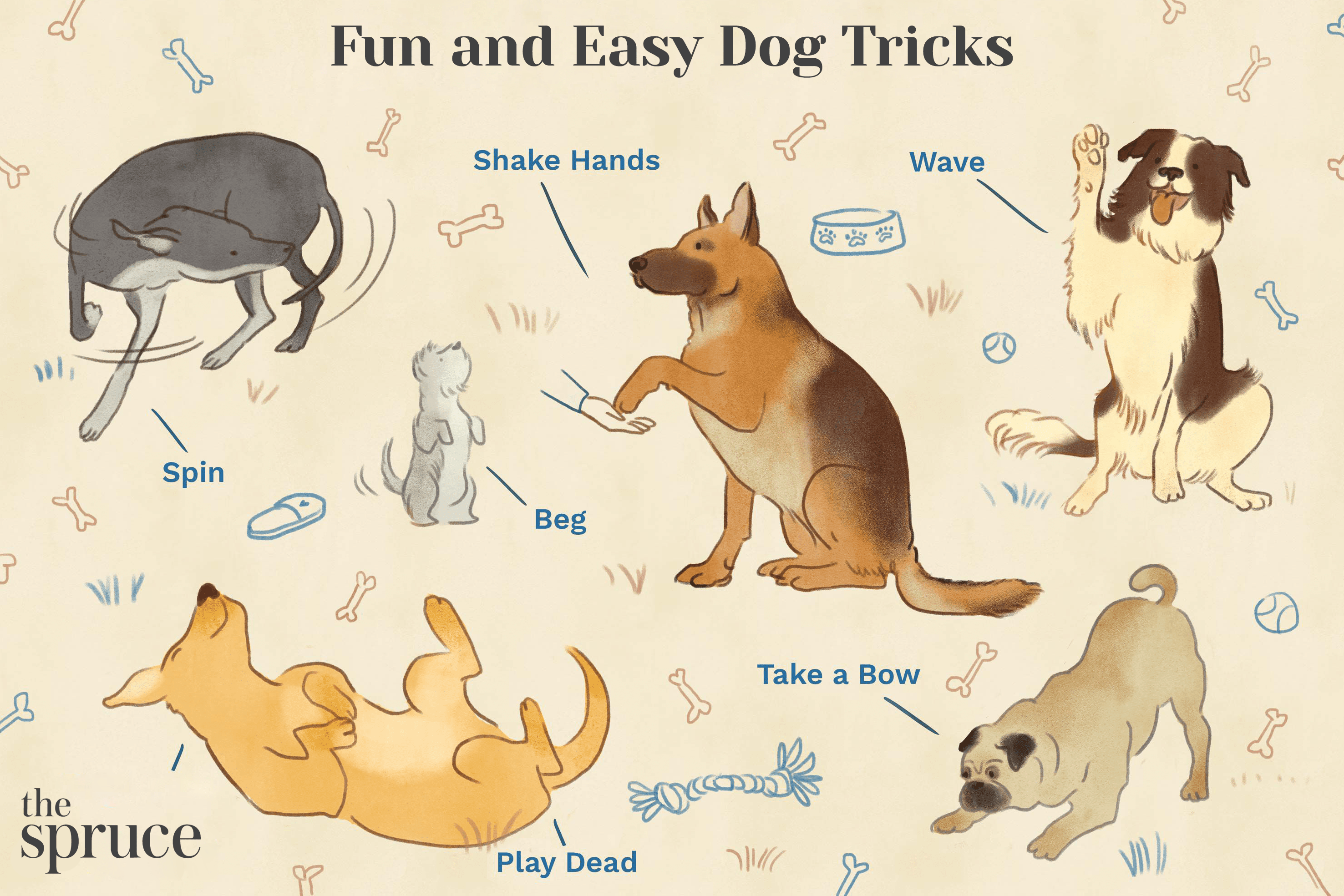 Fun and Easy Dog Tricks