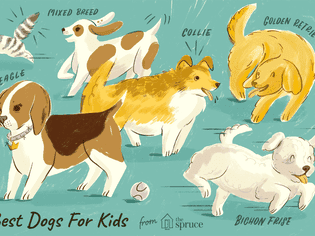 Best Dogs for Kids