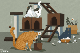 cat bad behaviors illustration